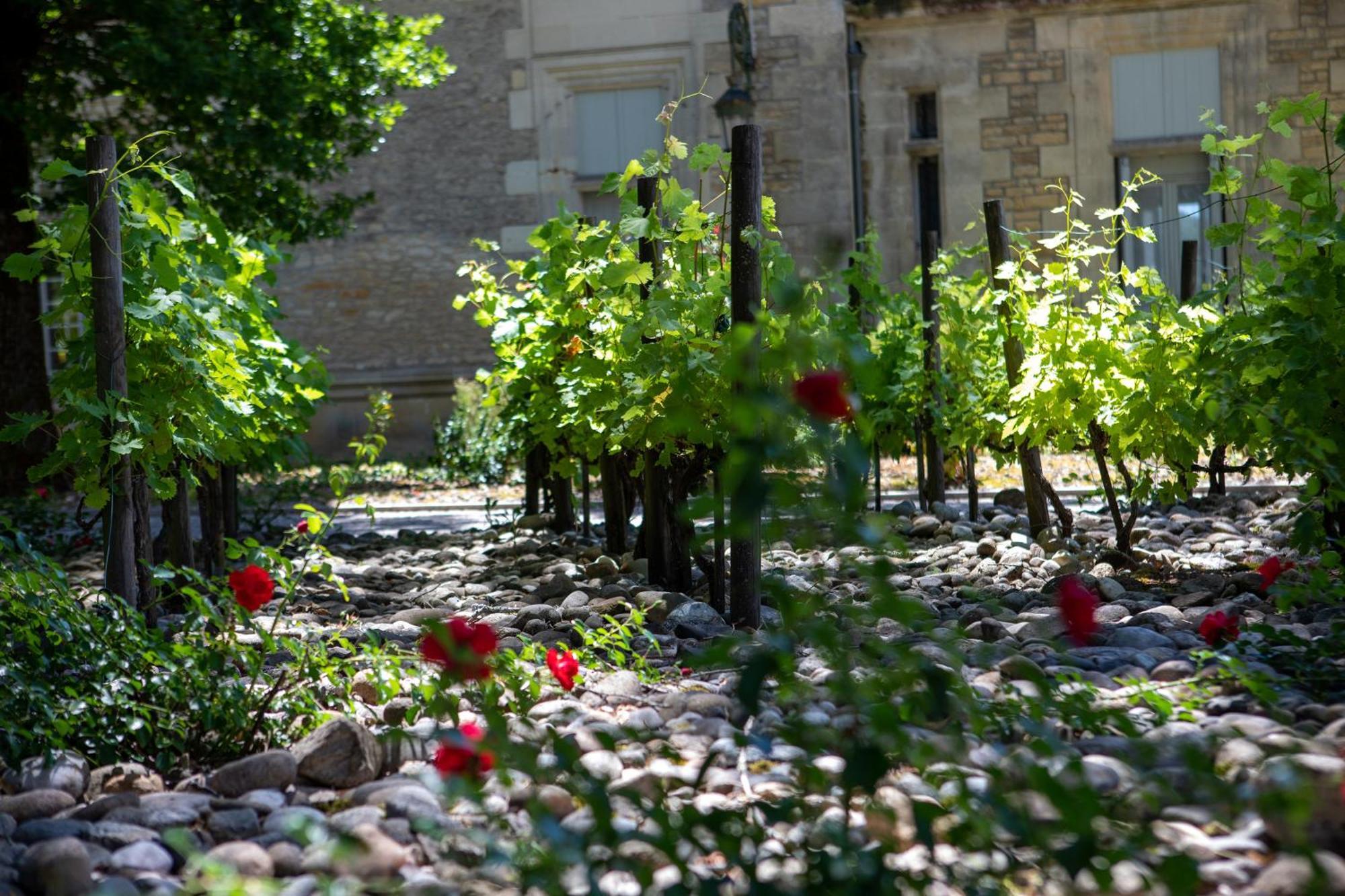 Domaine du Château de Monrecour - Hôtel et Restaurant - Proche Sarlat Saint-Vincent-de-Cosse Exterior foto